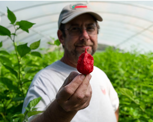Ed Currie Carolina Reaper